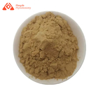 Herbal Hericium Erinaceus Mushroom Extract Powder For People With Weak Digestion