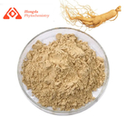 Anti Oxidation Natural Pure Ginseng Extract Powder Yello Brown Dry Cool Place Storage