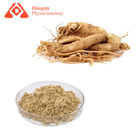 Pure Herbal Ginseng Extract Powder With Ginsenosides Natural Smell