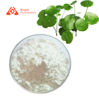 Pure Powdered Centella Asiatica Extract Gotu Kola Madecassoside 90%