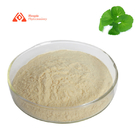 CAS 16830-15-2 Cosmetic Ingredient Centella Asiatica Extract Asiaticoside 70%  HPLC