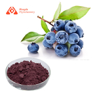 Pure Plant Blueberry Extract 25% Anthocyanin Powder For Food Grade