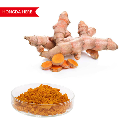 Pure plantenextract Curcuma longa poeder 95% HPLC Antioxidant en ontstekingsremmend